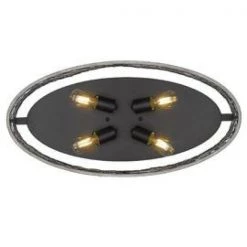 Bailey 24 in. 4-Light Matte Black Flush Mount by Golden Lighting -Golden Lighting Shop 24 in matte black with chicken wire golden lighting flush mount lights 3171 fm24 blk cw 4f 1000