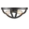 Saxon 2-Light Aged Bronze Flush Mount Light by Golden Lighting -Golden Lighting Shop aged bronze golden lighting flush mount lights 5926 fm abz 64 1000
