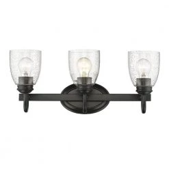 Parrish 3-Light Black Bath Light by Golden Lighting