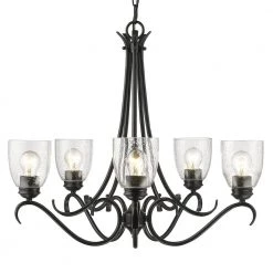 Parrish 5-Light Black Chandelier with Seeded Glass Shade by Golden Lighting