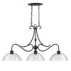 Parrish 3-Light Black Pendant by Golden Lighting