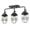 Seaport 3-Light Black Track/Semi-Flush Mount Light by Golden Lighting