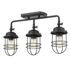 Seaport 3-Light Black Track/Semi-Flush Mount Light by Golden Lighting