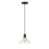 Carver 1-Light Black Pendant with Clear Glass Shade by Golden Lighting 2 Carver 1-Light Black Pendant with Clear Glass Shade by Golden Lighting -Golden Lighting Shop black golden lighting pendant lights 0305 s blk clr 64 1000