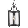 Payton 1-Light Black Pendant by Golden Lighting