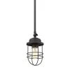 Seaport 1-Light Black Mini Pendant by Golden Lighting