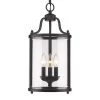 Tiva Collection 3-Light Black Pendant by Golden Lighting 2 Tiva Collection 3-Light Black Pendant by Golden Lighting -Golden Lighting Shop black golden lighting pendant lights thd11573p 64 1000