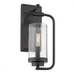 Holden 1-Light Black Wall Sconce by Golden Lighting