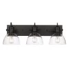 Hines 27.5 in. 3-Light Black Vanity Light with Clear Shades by Golden Lighting -Golden Lighting Shop black golden lighting vanity lighting 3118 ba3 blk clr 64 1000