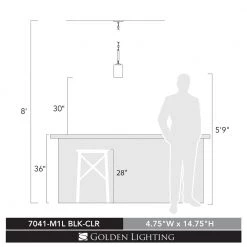 Monroe 1-Light Black with Clear Glass Mini Pendant by Golden Lighting -Golden Lighting Shop black with clear glass golden lighting pendant lights 7041 m1l blk clr 4f 1000