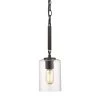 Monroe 1-Light Black with Clear Glass Mini Pendant by Golden Lighting 1 Monroe 1-Light Black with Clear Glass Mini Pendant by Golden Lighting -Golden Lighting Shop black with clear glass golden lighting pendant lights 7041 m1l blk clr 64 1000