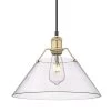 Orwell 1-Light Brushed Champagne Bronze Standard Pendant Light with Clear Glass Shade by Golden Lighting -Golden Lighting Shop brushed champagne bronze golden lighting chandeliers 3306 l bcb clr 64 1000