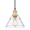 Orwell 7.5 in. 1-Light Pendant in Brushed Champagne Bronze with Clear Glass Shade by Golden Lighting 1 Orwell 7.5 in. 1-Light Pendant in Brushed Champagne Bronze with Clear Glass Shade by Golden Lighting -Golden Lighting Shop brushed champagne bronze golden lighting chandeliers 3306 s bcb clr 64 1000