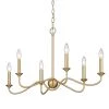 Tierney 6-Light Brushed Champagne Bronze Pendant Light by Golden Lighting -Golden Lighting Shop brushed champagne bronze golden lighting chandeliers 8316 lp bcb 64 1000