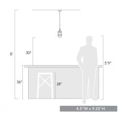 Seaport 1-Light Brushed Champagne Bronze Mini Pendant with Steel Shade by Golden Lighting -Golden Lighting Shop brushed champagne bronze golden lighting chandeliers 9808 m1l bcb 44 1000