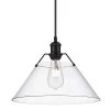 Orwell 1- Light Matte Black Clear Glass Crystal Large Pendant Light by Golden Lighting -Golden Lighting Shop matte black clear glass golden lighting chandeliers 3306 l blk clr 64 1000