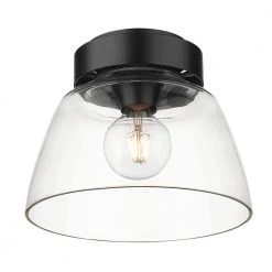 10 in. Remy Flush Mount by Golden Lighting -Golden Lighting Shop matte black clear glass golden lighting flush mount lights 0314 fm10 blk clr 4f 1000
