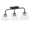 Roxie 3-Light Matte Black Clear Glass Semi-Flush Mount by Golden Lighting 2 Roxie 3-Light Matte Black Clear Glass Semi-Flush Mount by Golden Lighting -Golden Lighting Shop matte black clear glass golden lighting flush mount lights 6958 3sf blk bcb clr 64 1000