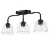 Roxie 3-Light Matte Black Clear Glass Semi-Flush Mount by Golden Lighting 2 Roxie 3-Light Matte Black Clear Glass Semi-Flush Mount by Golden Lighting -Golden Lighting Shop matte black clear glass golden lighting flush mount lights 6958 3sf blk blk clr 64 1000