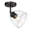 Roxie 1-Light Matte Black Clear Glass Semi-Flush Mount by Golden Lighting -Golden Lighting Shop matte black clear glass golden lighting flush mount lights 6958 sf blk blk clr 64 1000
