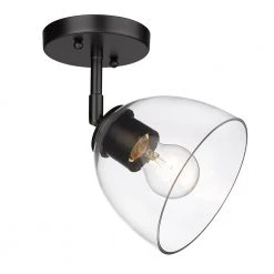 Roxie 1-Light Matte Black Clear Glass Semi-Flush Mount by Golden Lighting
