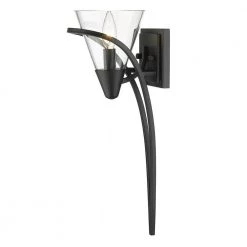 Olympia 1-Light Matte Black Clear Glass Wall Sconce by Golden Lighting