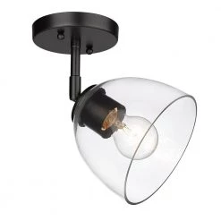 Roxie 1-Light Matte Black Clear Glass Wall Sconce by Golden Lighting -Golden Lighting Shop matte black clear glass golden lighting vanity lighting 6958 1w blk blk clr 1f 1000
