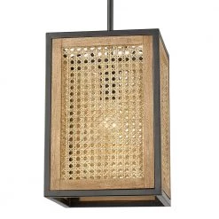 Rowan 1-Light Matte Black Pendant by Golden Lighting -Golden Lighting Shop matte black golden lighting chandeliers 1062 s blk 1f 1000