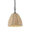 Hathaway 1-Light Matte Black Pendant by Golden Lighting