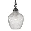 Adeline 1-Light Matte Black Pendant Light with Glass Shade by Golden Lighting 1 Adeline 1-Light Matte Black Pendant Light with Glass Shade by Golden Lighting -Golden Lighting Shop matte black golden lighting chandeliers 1088 m blk clr 64 1000