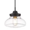 Nash 1-Light Matte Black Small Pendant with Glass Shade by Golden Lighting 1 Nash 1-Light Matte Black Small Pendant with Glass Shade by Golden Lighting -Golden Lighting Shop matte black golden lighting chandeliers 3419 s blk clr 64 1000