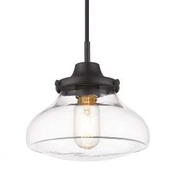 Nash 1-Light Matte Black Small Pendant with Glass Shade by Golden Lighting