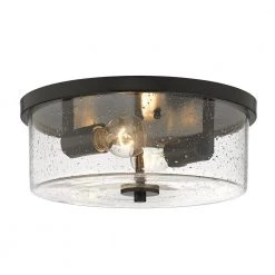 Rayne 13 in. 2-Light Matte Black Flush Mount by Golden Lighting