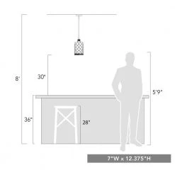 Nassau 1-Light Matte Black Hammered Clear Glass Mini Pendant with Shade by Golden Lighting -Golden Lighting Shop matte black golden lighting pendant lights 1090 m1l blk hcg 76 1000
