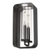Skye 1-Light Natural Black Wall Sconce by Golden Lighting