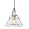 Orwell 7.5 in. 1-Light Pendant in Pewter with Clear Glass Shade by Golden Lighting -Golden Lighting Shop pewter golden lighting chandeliers 3306 s pw clr 64 1000