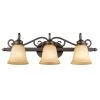 Belle Meade Collection 3-Light Rubbed Bronze Bath Vanity Light by Golden Lighting -Golden Lighting Shop rubbed bronze 3 light golden lighting vanity lighting 073mprbz 64 1000